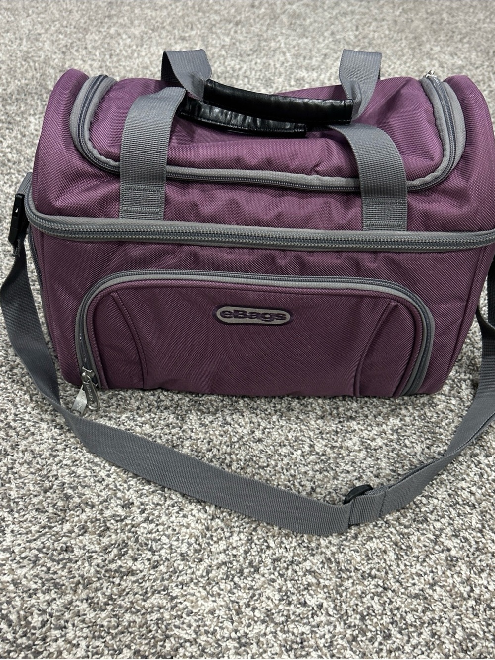 eBags Crew Cooler II Insulated Lunch Bag in PurpleTravel Flight Attendant Pilot